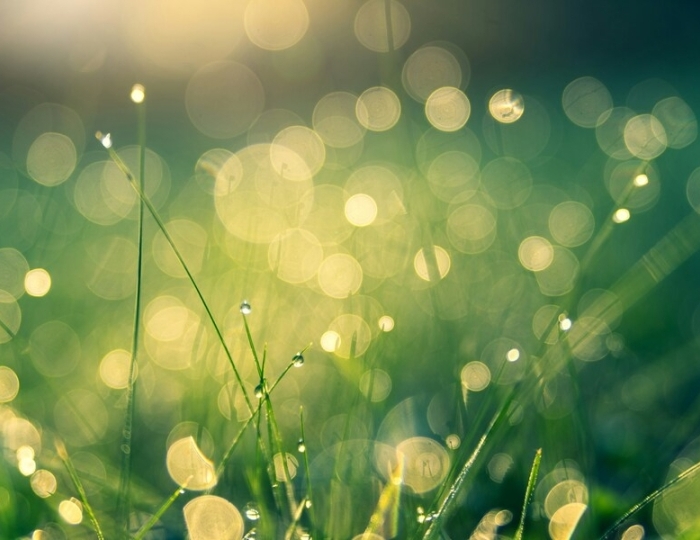 Жизнь без боли - Санаторий «Золотой берег» Евпатория