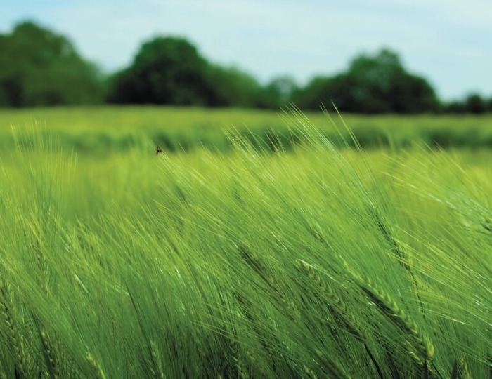 Оздоровление работников предприятия - Санаторий «Золотой берег» Евпатория